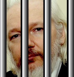 1-Assange-barreaux