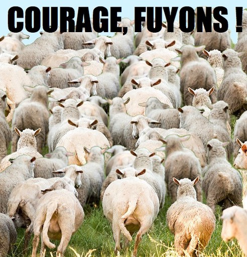 1-Courage-fuyons