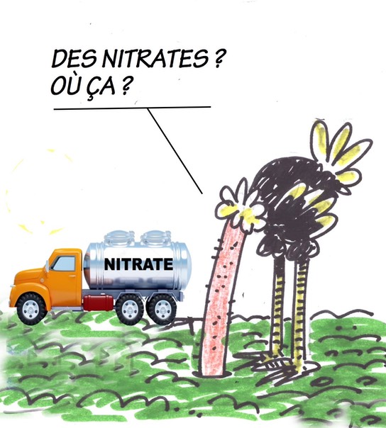 1-des-nitrates-ou-a