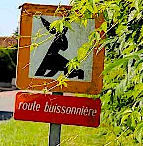 1-Route-buissonnire