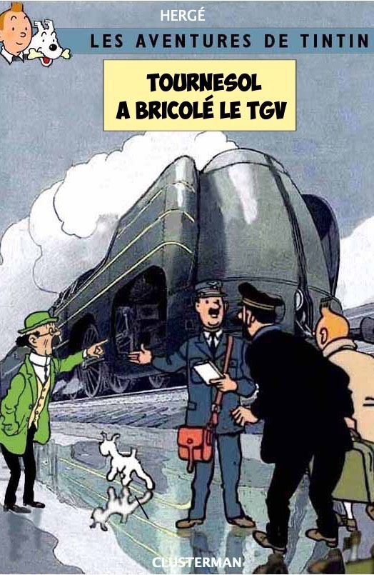 1-Tournesol a bricol le TGV copie 2