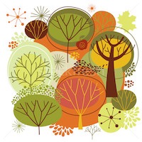automne-arbres-200