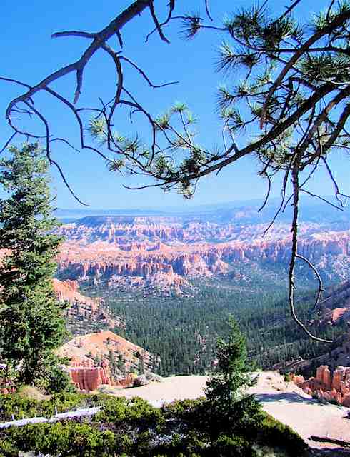 BryceCanyon1243