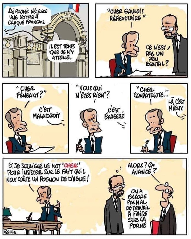 Macron-crit.
