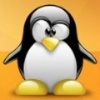 pingouinLinux-100