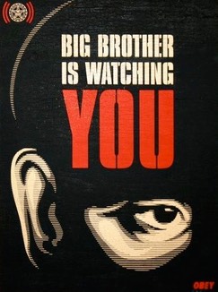 Big-brother-is-watching-you-1