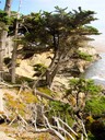 Côte Pacifique, quelque part au sud de Monterey.
