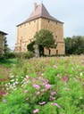 La tour de Vesvre, toiture et murs restaurés.